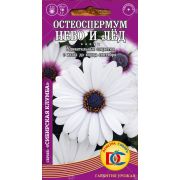 цветы Остеоспермум Небо и Лед /10 шт Дем Сиб/