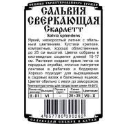 цветы Сальвия Скарлетт (0,05 гр Б/П)
