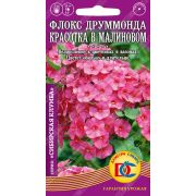 цветы Флокс Друммонда Красотка в малиновом /0,1гр Дем Сиб/
