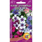 цветы Флокс Друммонда Сесилия /0,1 гр Дем Сиб/