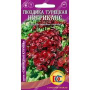 цветы Гвоздика Турецкая Нигриканс./0,1 гр Дем Сиб/