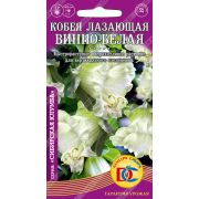 цветы Кобея лазающая Винно-белая /0,3 гр Дем Сиб/