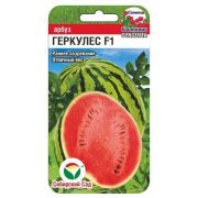 Арбуз Геркулес F1 3шт (Сиб Сад)