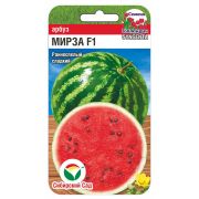 Арбуз Мирза 4шт (Сиб Сад)