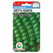 Горох 6 недель 5г (Сиб Сад)