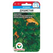 Петрушка листовая Душистая 1г (Сиб Сад)