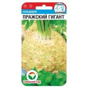 Сельдерей Пражский гигант корневой 0,5г (Сиб сад)