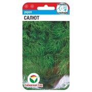 Укроп Салют 1г (Сиб сад)