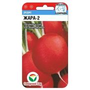 Редис Жара-2 2г (Сиб Сад)