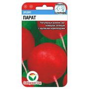 Редис Парат 2г (Сиб сад)