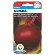 Свекла Мулатка 2г (Сиб Сад)