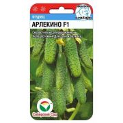 Огурец Арлекино 5шт (Сиб Сад)