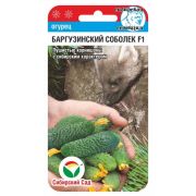 Огурец БАРГУЗИНСКИЙ СОБОЛЕК F1 7шт (Сиб Сад)