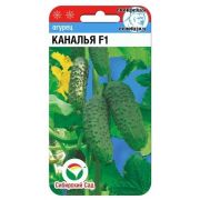 Огурец Каналья F1 7шт (Сиб сад)