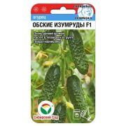 Огурец Обские изумруды F1 7шт (Сиб Сад)