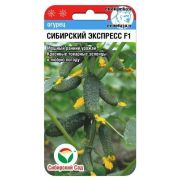 Огурец СИБИРСКИЙ ЭКСПРЕСС F1 7шт (Сиб Сад)