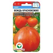 Томат Вождь Краснокожих 20шт (Сиб сад)