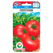 Томат Ползунок 20шт (Сиб Сад)