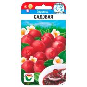 Брусника Садовая 10шт (Сиб Сад)