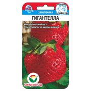 Земляника Гигантелла 10шт (Сиб сад)