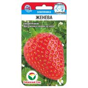 Земляника Женева 10шт (Сиб Сад)