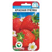Земляника Красная пчелка 10шт (Сиб Сад)
