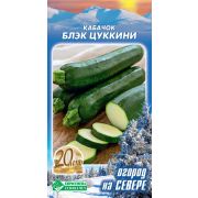 Кабачок «Блэк цуккини»