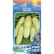 Кабачок «Якорь»