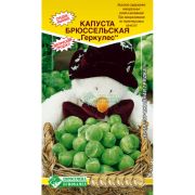 Капуста брюссельская «Геркулес»