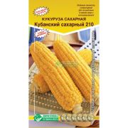 Кукуруза сахарная «Кубанский сахарный 210»