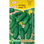 Огурец партенокарпик «Амур F1»