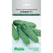 Огурец партенокарпик «Атаман F1»