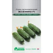Огурец партенокарпик «Жозефино F1»