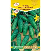 Огурец пчелоопыляемый «Конкурент»