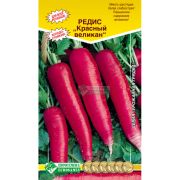 Редис «Красный великан»