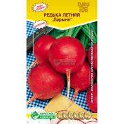 Редька летняя «Барыня»