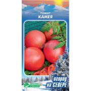 Томат «Камея»/ Евросемена