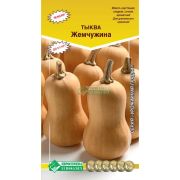 Тыква мускатная «Жемчужина»