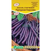 Фасоль овощная (спаржевая) «Пурпурная королева»