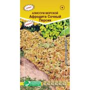 Алиссум морской «Афродита Сочный персик»