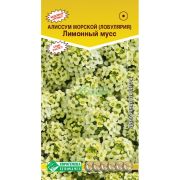 Алиссум морской «Лимонный мусс»