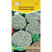 Алиссум морской «Снежный ковер»