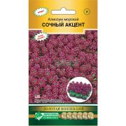 Алиссум морской «Сочный Акцент»