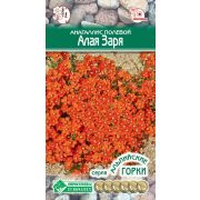 Анагаллис полевой «Алая Заря»