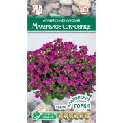 Арабис кавказский «Маленькое Сокровище»