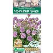 Армерия приморская «Королевская Армада»