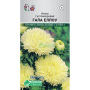 Астра «Гала Еллоу»