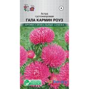 Астра «Гала Кармин Роуз»