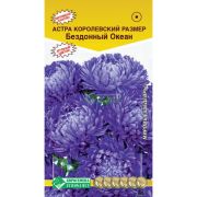 Астра «Королевский размер Бездонный океан»