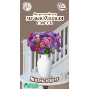 Астра «Музыка Дождя смесь»